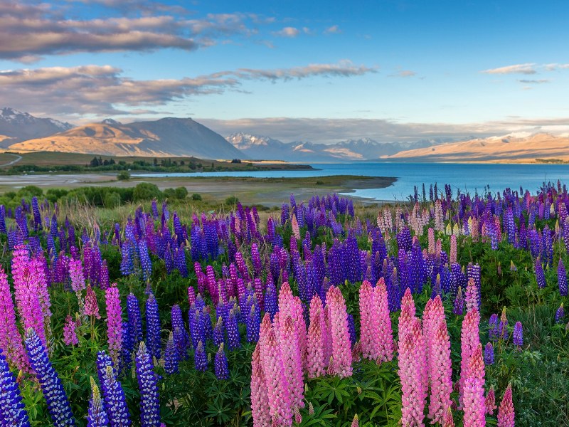 Top 15 vườn hoa đẹp nhất thế giới